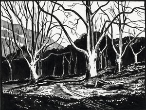  tekijältä Raymond Bonnefon