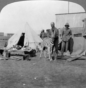 Eteläafrikkalaiset tykkimiehet lemmikkinsä kanssa, Itä-Afrikka, ensimmäinen maailmansota, 1914-1918. tekijältä Realistic Travels Publishers