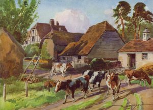 Kuvitus My Farm (väri litho) tekijältä Reginald Mills