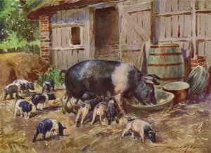 Kuvitus My Farm (väri litho) tekijältä Reginald Mills