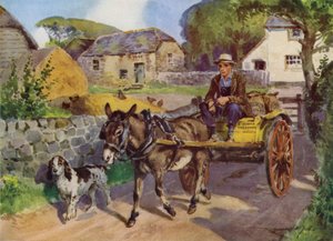Kuvitus My Farm (väri litho)