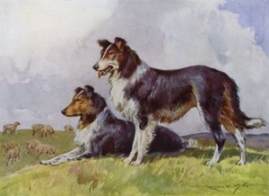 Kuvitus My Farm (väri litho)
