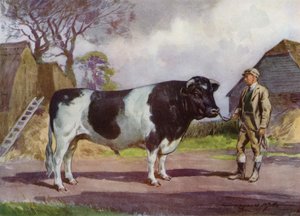 Kuvitus My Farm (väri litho)