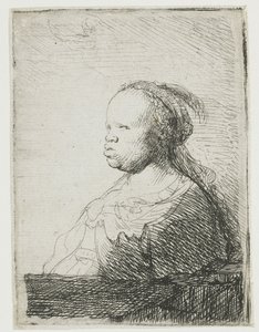 Afrikkalainen nainen, 1628-32 tekijältä Rembrandt van Rijn