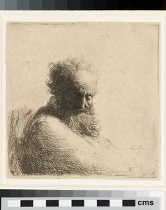 Vanhan parrakkaan miehen rintakuva, alaspäin katsova, kolme neljäsosaa oikealle. tekijältä Rembrandt Harmensz. van Rijn