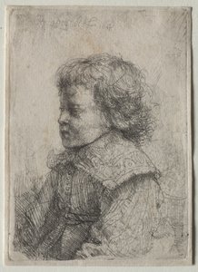 Pojan muotokuva profiilissa tekijältä Rembrandt Harmensz. van Rijn