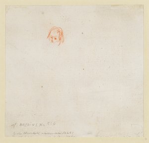 Pieni tutkimus päästä tekijältä Rembrandt van Rijn