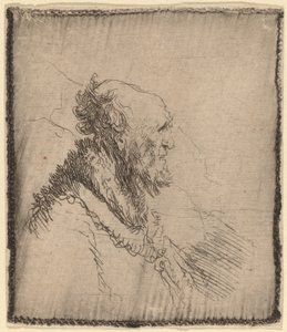 Kalju vanha mies, jolla on lyhyt parta profiilissa, c. 1635. tekijältä Rembrandt van Rijn