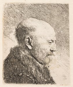 Kalju mies profiilissa (Rembrandtin isä?) tekijältä Rembrandt van Rijn