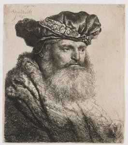 Parrakas mies samettilakissa jalokivilukolla tekijältä Rembrandt van Rijn