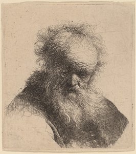 Vanhan miehen rintakuva, jolla on virtaava parta ja valkoinen hiha tekijältä Rembrandt van Rijn