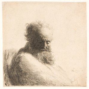 Vanha parrakas mies. Rintakuva tekijältä Rembrandt van Rijn