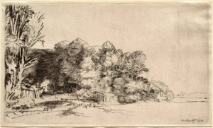 Maisema ja puuryhmä tekijältä Rembrandt van Rijn