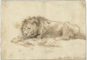 Makaava leijona (Liggende leeuw). 1650-59 tekijältä Rembrandt van Rijn