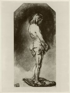 Männlicher Akt tekijältä Rembrandt van Rijn