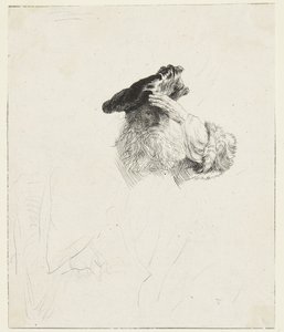Vanha mies, joka suojaa silmiään kädellään tekijältä Rembrandt van Rijn