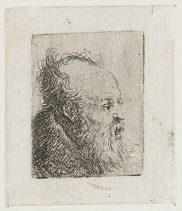 Vanha, parrakas mies, suu puoliksi auki tekijältä Rembrandt van Rijn