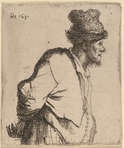 Talonpoika kätensä selän takana tekijältä Rembrandt van Rijn