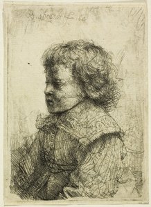 Pojan muotokuva tekijältä Rembrandt van Rijn