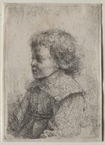 Pojan muotokuva profiilissa tekijältä Rembrandt van Rijn