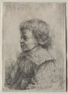 Pojan muotokuva profiilissa, 1641. tekijältä Rembrandt van Rijn