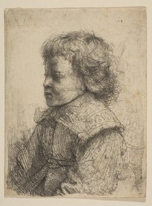 Pojan muotokuva profiilissa, 1641. tekijältä Rembrandt van Rijn