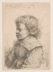 Poikien muotokuva, profiilista tekijältä Rembrandt van Rijn