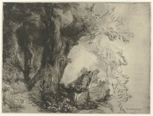 Pyhä Franciscus puun alla rukoilemassa Pyhä Franciscus puun alla rukoilemassa tekijältä Rembrandt van Rijn