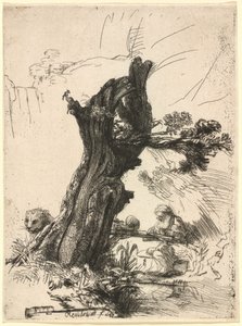 Pyhä Jerome pollardin pajun vieressä tekijältä Rembrandt van Rijn