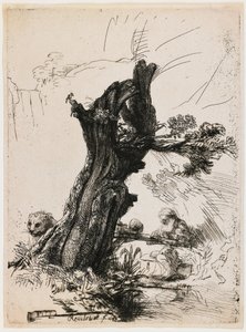 Pyhä Hieronymus Pollard-pajun vieressä tekijältä Rembrandt van Rijn