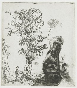 Opiskelusivu, jossa on puu, sekä Rembrandtin pään yläosa, jossa on baretti tekijältä Rembrandt van Rijn