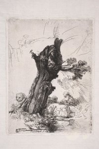 Pyhä Hieronymus kirjoittamassa pajunrungon vieressä tekijältä Rembrandt van Rijn