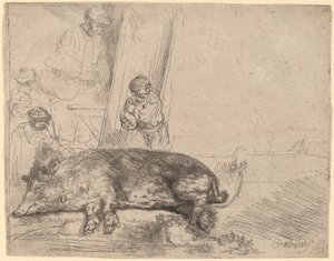 Hog tekijältä Rembrandt van Rijn