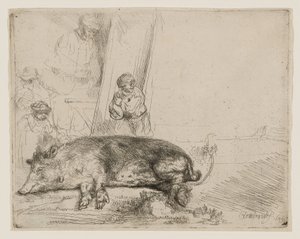 Hog tekijältä Rembrandt van Rijn