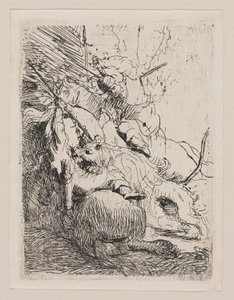 Pienen leijonan metsästys (yhden leijonan kanssa) tekijältä Rembrandt van Rijn