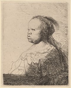 Valkoinen Negressi tekijältä Rembrandt van Rijn