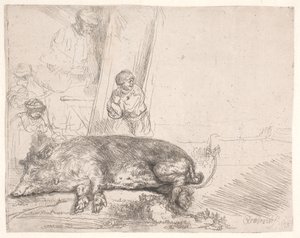 Sika tekijältä Rembrandt van Rijn