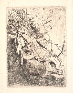 Pienen leijonan metsästys (yhden leijonan kanssa) tekijältä Rembrandt van Rijn