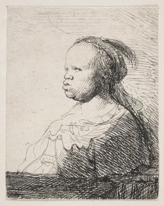 Valkoinen musta tekijältä Rembrandt van Rijn