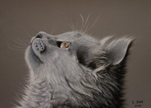 Katzenaugenblick