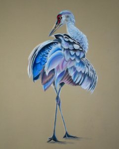 Nosturi