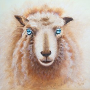 Lampaat