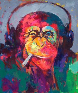 Värikkäät Monkey-kuulokkeet