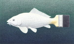 Brushfish, 2003, Värikynäpiirros paperille tekijältä Rene Boin