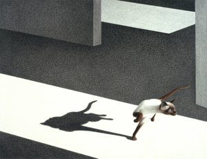 Kulma tekijältä Rene Boin