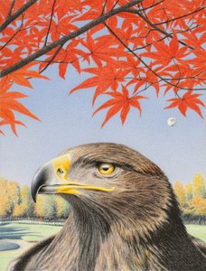 Eagle, 2015, Värikynäpiirros paperille