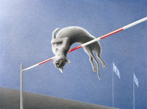 Hypätä tekijältä Rene Boin