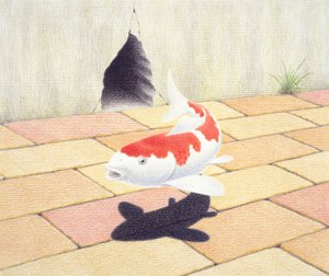 Koi tekijältä Rene Boin