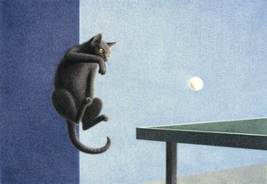 Pöytätennis tekijältä Rene Boin