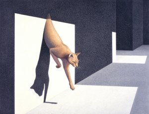 Seinä tekijältä Rene Boin